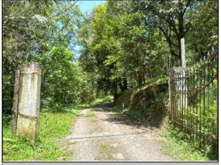 Imagem do imóvel TE70410