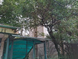 Imagem do imóvel AP37989