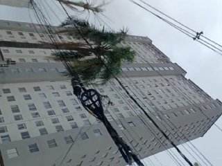 Imagem do imóvel AP75253