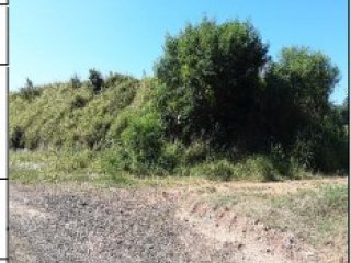 Imagem do imóvel TE33741