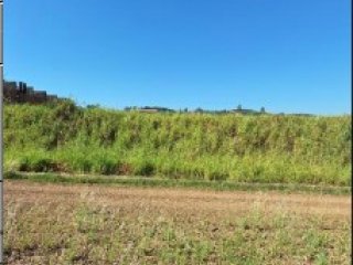 Imagem do imóvel TE96870