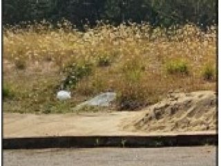 Imagem do imóvel TE31508