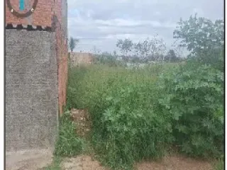 Imagem do imóvel TE57300