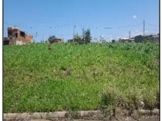 Imagem do imóvel TE76988